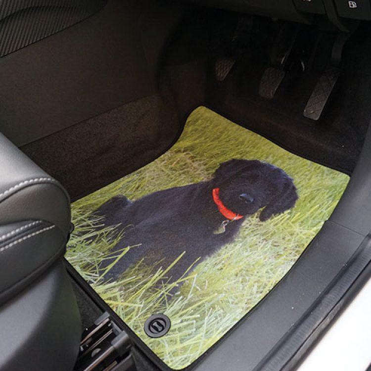 Product Images Gallery - Car mat with dog image