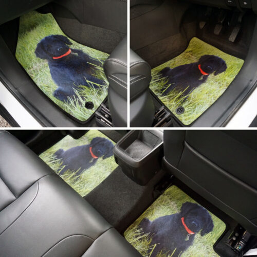 Renault Zoe 2012 – Present – Personalised Car Mats Category Image