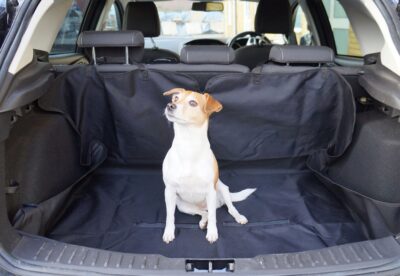 Multi-purpose Boot Liner - Category Image