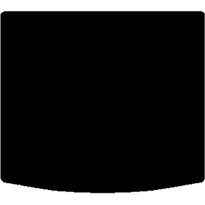 Cupra Terramar 2025 - Present Boot Mat